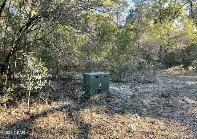 3rd image of 0000 Bent Oaks Rd, Chipley, FL 32428 | MLS# 788299