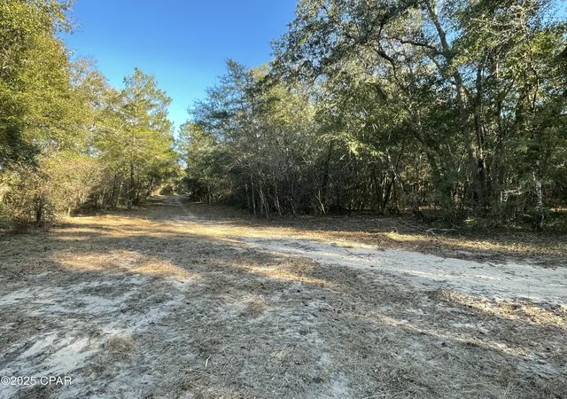 4th image of 0000 Bent Oaks Rd, Chipley, FL 32428 | MLS# 788299