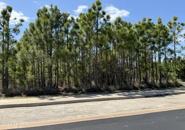 Photo 2 of Land for sale at Lot N 33 Echo Ln, Port Saint Joe, FL 32456 | MLS# 788473 | Listing updated on 2026-06-29