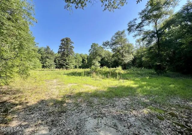 10th image of 00 Broom Rd, Bonifay, FL 32425 | MLS# 788480