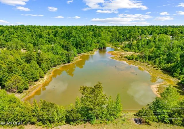 50th image of 2748 Appalachee Trl, Marianna, FL 32446 | MLS# 788509