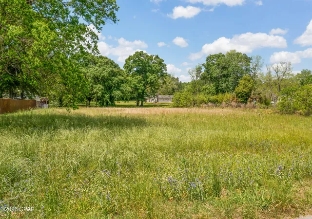 2nd image of Xxx College Dr, Graceville, FL 32440 | MLS# 788568