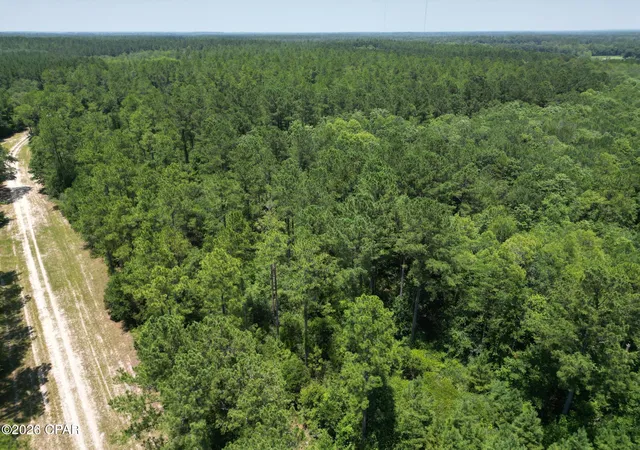 2nd image of Lot 88 Turkey Oak Trl, Bonifay, FL 32425 | MLS# 788622