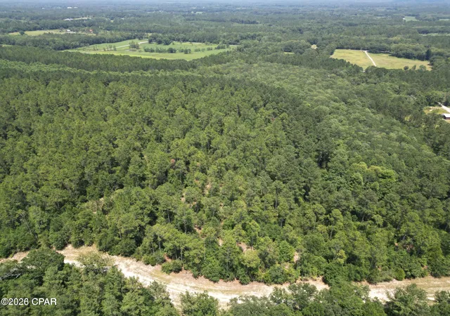 3rd image of Lot 88 Turkey Oak Trl, Bonifay, FL 32425 | MLS# 788622