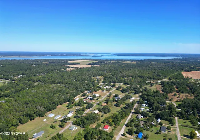 Homes for sale in Sneads, FL | 7868 Suellen St, Sneads, FL 32460 | MLS# 788644
