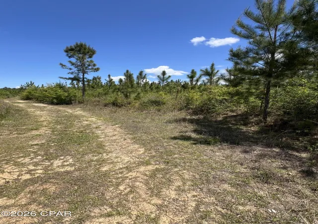 Photo 3 of Land for sale at 0 Goodman Hl Rd, Chipley, FL 32428 | MLS# 788666 | Listing updated on 2026-09-28