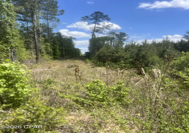 Photo 3 of Land for sale at 0 Goodman Hl Rd, Chipley, FL 32428 | MLS# 788666 | Listing updated on 2026-09-28