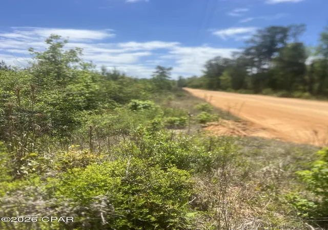 Photo 4 of Land for sale at 0 Goodman Hl Rd, Chipley, FL 32428 | MLS# 788666 | Listing updated on 2026-09-28