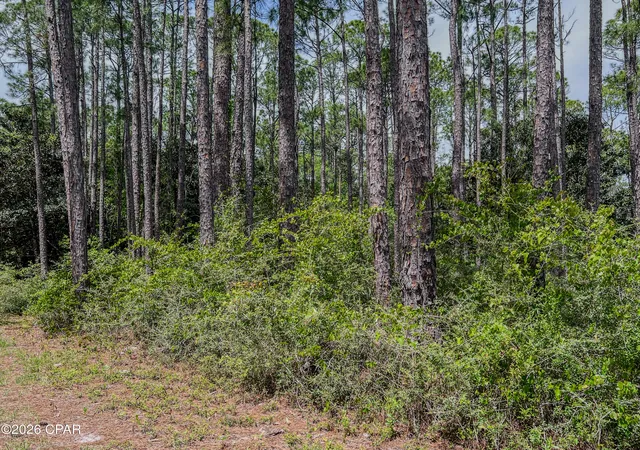 33rd image of 0 Harley Rd, Santa Rosa Beach, FL 32459 | MLS# 788693