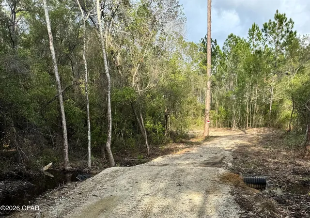10th image of Lot 9 Pleasant Hl Rd, Bonifay, FL 32425 | MLS# 788785