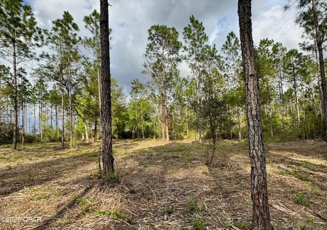 1st image of Lot 9 Pleasant Hl Rd, Bonifay, FL 32425 | MLS# 788785