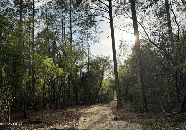 2nd image of Lot 9 Pleasant Hl Rd, Bonifay, FL 32425 | MLS# 788785