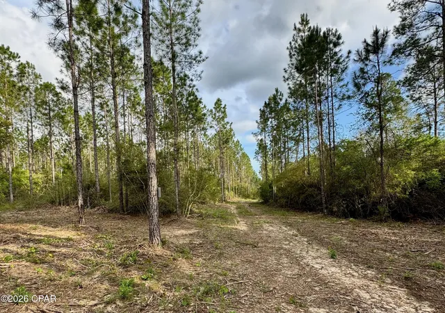 4th image of Lot 9 Pleasant Hl Rd, Bonifay, FL 32425 | MLS# 788785
