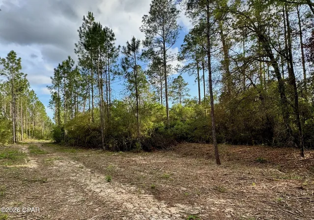 5th image of Lot 9 Pleasant Hl Rd, Bonifay, FL 32425 | MLS# 788785