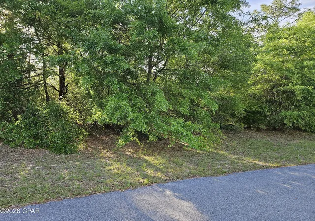 Homes for sale in Chipley, FL | Lot 7 Bricknell Ave, Chipley, FL 32428 | MLS# 788919