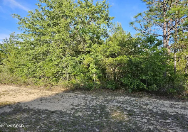 Homes for sale in Chipley, FL | Lot 29 Concord Blvd, Chipley, FL 32428 | MLS# 788920