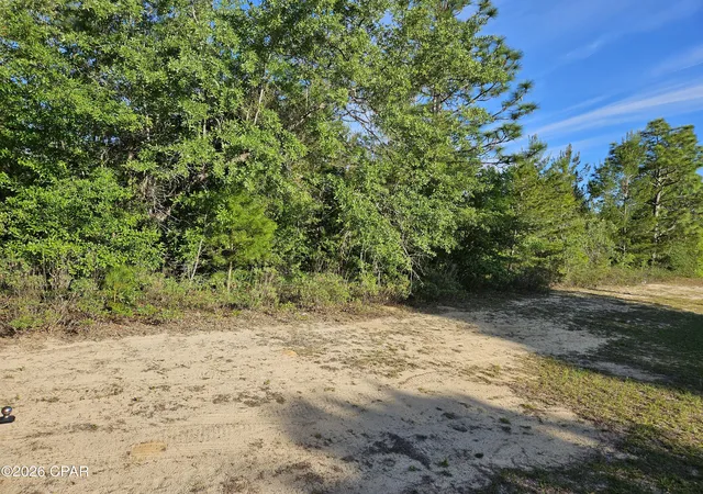 Homes for sale in Chipley, FL | Lot 19 Gemini Cir, Chipley, FL 32428 | MLS# 788921