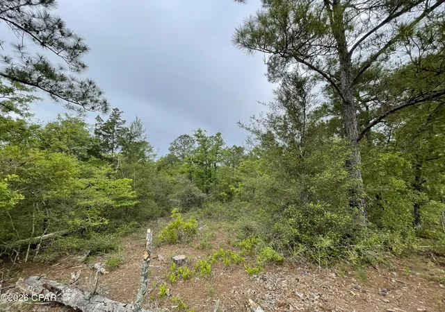 Photo 2 of Land for sale at 0000 Marville Dr, Marianna, FL 32448 | MLS# 788933 | Listing updated on 2026-05-30