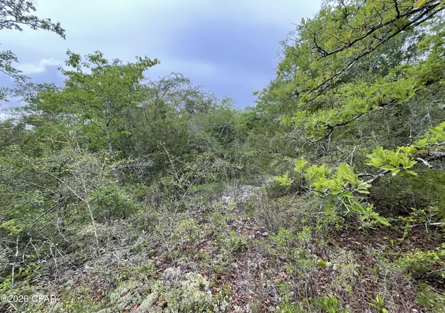 Photo 3 of Land for sale at 0000 Marville Dr, Marianna, FL 32448 | MLS# 788933 | Listing updated on 2026-05-30