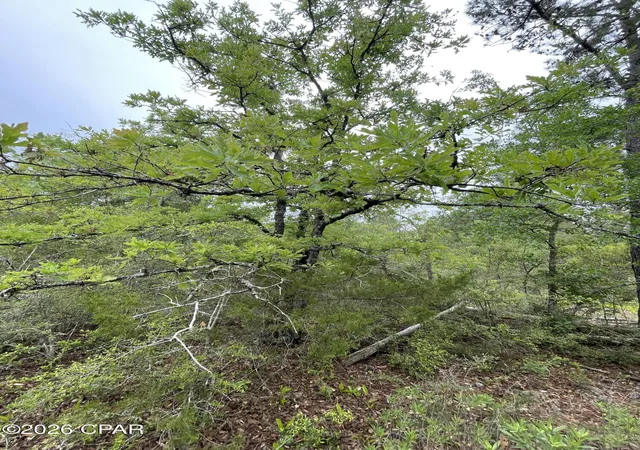 Photo 3 of Land for sale at 0000 Marville Dr, Marianna, FL 32448 | MLS# 788933 | Listing updated on 2026-05-30