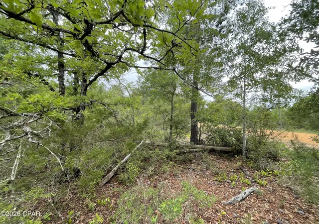 Photo 4 of Land for sale at 0000 Marville Dr, Marianna, FL 32448 | MLS# 788933 | Listing updated on 2026-05-30