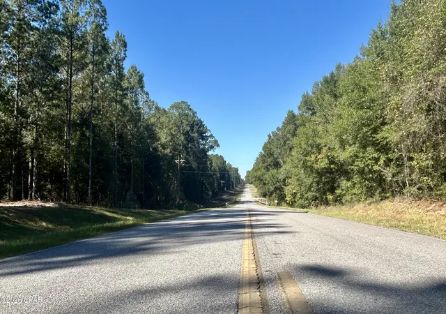 25th image of K 147 Hwy, Laurel Hill, FL 32567 | MLS# 789063