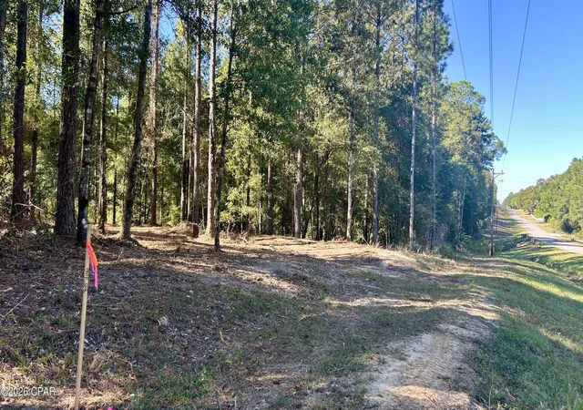 2nd image of K 147 Hwy, Laurel Hill, FL 32567 | MLS# 789063