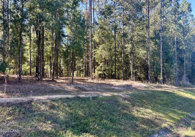3rd image of K 147 Hwy, Laurel Hill, FL 32567 | MLS# 789063
