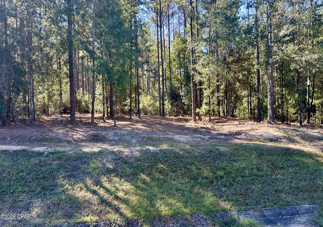 4th image of K 147 Hwy, Laurel Hill, FL 32567 | MLS# 789063