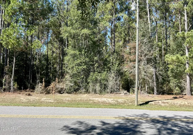 5th image of K 147 Hwy, Laurel Hill, FL 32567 | MLS# 789063