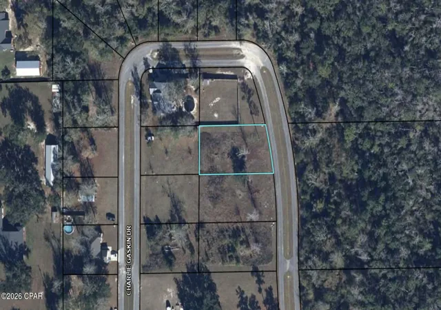 1st image of Lot 23 Charlie Gaskin Dr, Wewahitchka, FL 32465 | MLS# 789147
