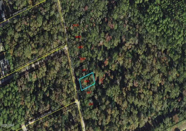 Photo 1 of Land for sale at Lot 6 Fig Tree Ln, Crawfordville, FL 32327 | MLS# 789178 | Listing updated on 2026-05-30