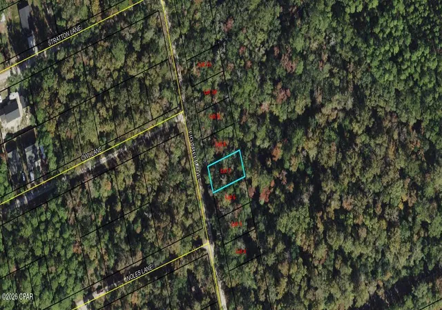 Photo 1 of Land for sale at Lot 7 Fig Tree Ln, Crawfordville, FL 32327 | MLS# 789179 | Listing updated on 2026-05-30