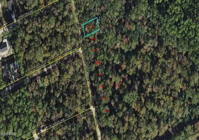 Photo 1 of Land for sale at Lot 11 Fig Tree Ln, Crawfordville, FL 32327 | MLS# 789183 | Listing updated on 2026-05-30