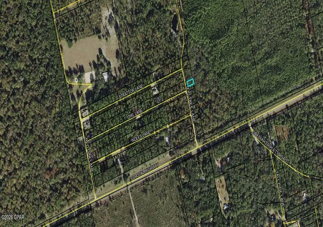 Photo 2 of Land for sale at Lot 11 Fig Tree Ln, Crawfordville, FL 32327 | MLS# 789183 | Listing updated on 2026-05-30