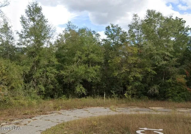 Photo 3 of Land for sale at 0 Lark Ct, Marianna, FL 32448 | MLS# 789198 | Listing updated on 2026-05-30