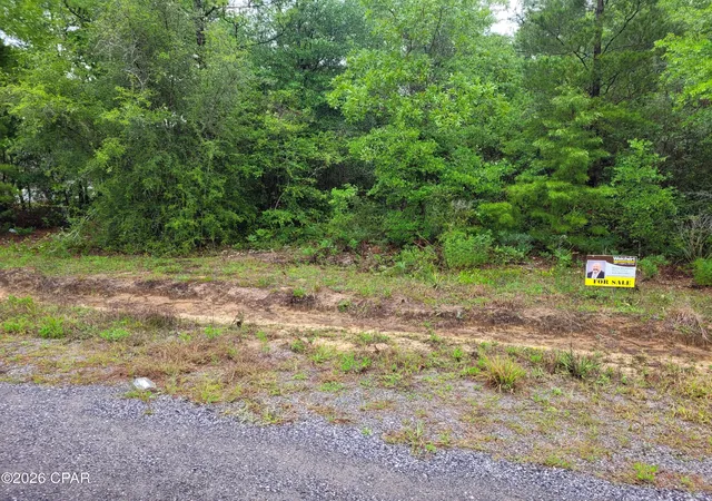 Homes for sale in Defuniak Springs, FL | See Plot # N Pinetree Lane, Defuniak Springs, FL 32433 | MLS# 789298