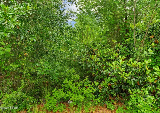 15th image of 00 Charles Dr, Panama City, FL 32404 | MLS# 789401