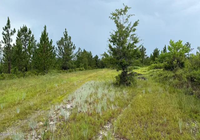 1st image of 00 Foster Rd, Fountain, FL 32438 | MLS# 789410