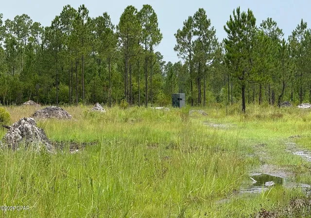 2nd image of 00 Foster Rd, Fountain, FL 32438 | MLS# 789410