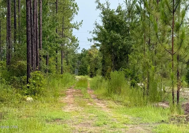 3rd image of 00 Foster Rd, Fountain, FL 32438 | MLS# 789410