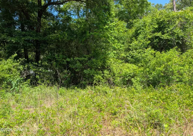 4th image of 0 Cricket Village Cir, Bonifay, FL 32425 | MLS# 789476