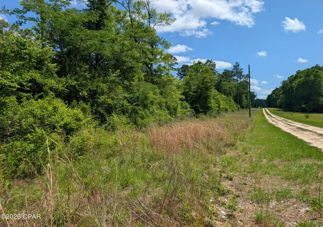 5th image of 0 Cricket Village Cir, Bonifay, FL 32425 | MLS# 789476