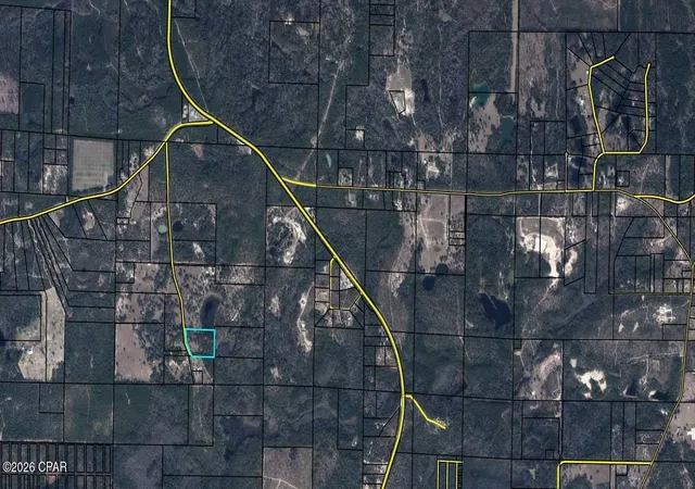 Homes for sale in Vernon, FL | 3557 Twin Pond Rd, Vernon, FL 32462 | MLS# 789517