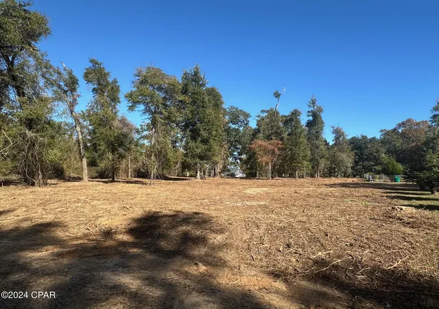 2nd image of 2836 Appalachee Trl, Marianna, FL 32446 | MLS# 789524