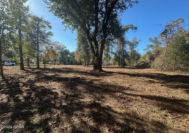 5th image of 2836 Appalachee Trl, Marianna, FL 32446 | MLS# 789524