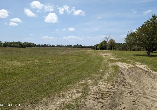 Homes for sale in Malone, FL | 0 Fl 71, Malone, FL 32445 | MLS# 789567