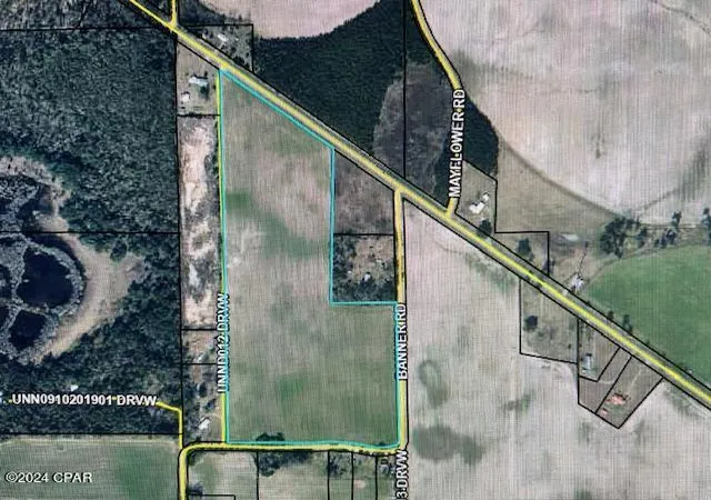 Homes for sale in Malone, FL | 0 Fl 71, Malone, FL 32445 | MLS# 789567