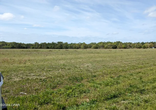 Homes for sale in Malone, FL | 0 Fl 71, Malone, FL 32445 | MLS# 789567