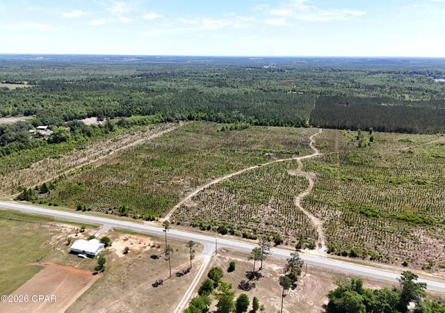 2nd image of 0 Nw Cr 73 A, Altha, FL 32421 | MLS# 789606